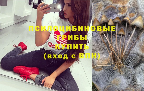 кокс Осинники