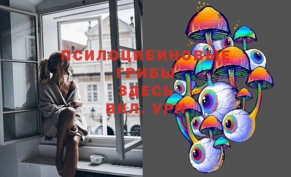 шишки Нягань