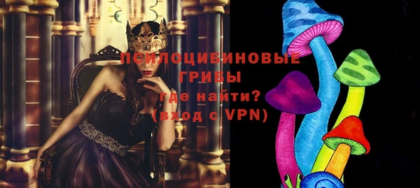прущая мука Осташков