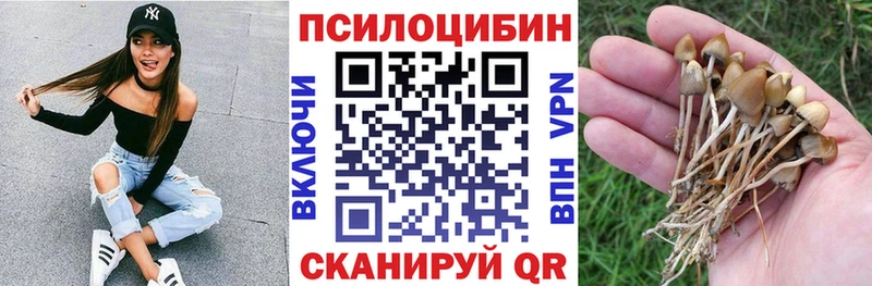 Псилоцибиновые грибы прущие грибы  где найти наркотики  Тавда 